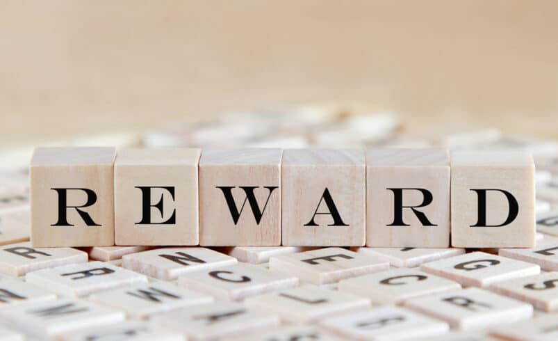 Explaining Block Reward: Components and Rewards Strategy?