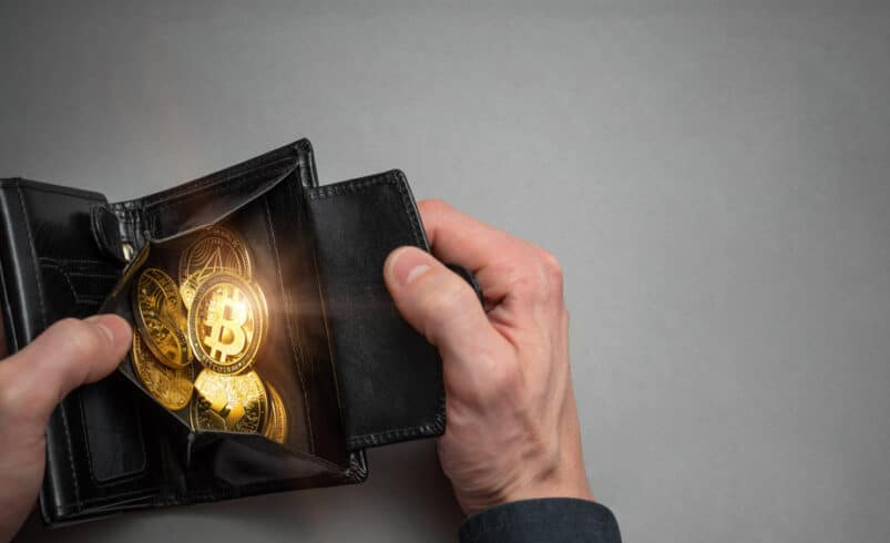 A Detailed Explanation of Crypto Wallets and Functioning with Public and Private Keys