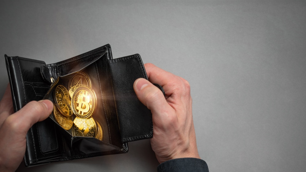 A Detailed Explanation of Crypto Wallets and Functioning with Public and Private Keys